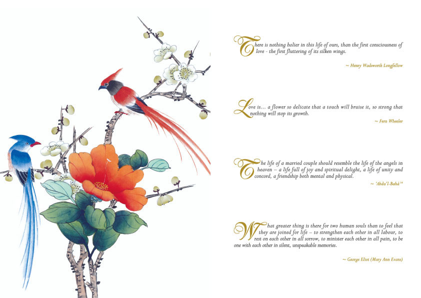 seeking your insights on